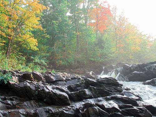 Choiniere Willougby Access