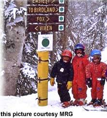 Are children wearing ski helmets at risk?